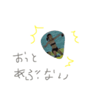 すーこちゃん（個別スタンプ：13）