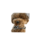 ange3（個別スタンプ：4）