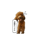 ange3（個別スタンプ：8）