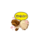 ange3（個別スタンプ：27）