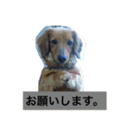 けっこう使えるミニチュアダックスのルーク（個別スタンプ：15）