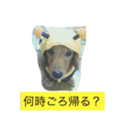 けっこう使えるミニチュアダックスのルーク（個別スタンプ：28）