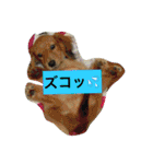 けっこう使えるミニチュアダックスのルーク（個別スタンプ：31）