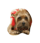 モグのつぶやき♥（個別スタンプ：13）
