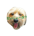 モグのつぶやき♥（個別スタンプ：31）