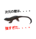 名言(迷言)を言うトカゲ（個別スタンプ：7）