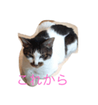 hanachyanka（個別スタンプ：8）