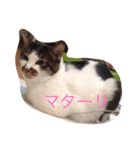 hanachyanka（個別スタンプ：10）