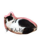 hanachyanka（個別スタンプ：11）