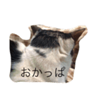 hanachyanka（個別スタンプ：13）