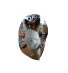 友達の犬（個別スタンプ：3）