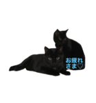 にゃんこ♡（個別スタンプ：4）