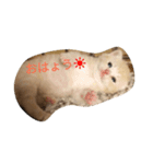 ニャンず！（個別スタンプ：7）
