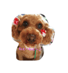 nya_go_dog_cat_5（個別スタンプ：2）