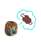 kuroandisaki（個別スタンプ：3）