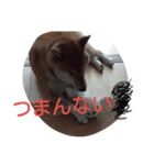 kuroandisaki（個別スタンプ：6）