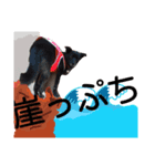 kuroandisaki（個別スタンプ：7）
