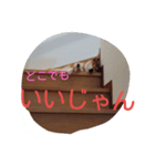 kuroandisaki（個別スタンプ：8）