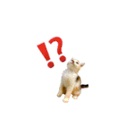 猫と犬となんとなくリス（個別スタンプ：4）