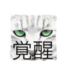 猫と犬となんとなくリス（個別スタンプ：10）