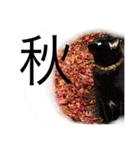 猫と犬となんとなくリス（個別スタンプ：17）