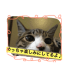 オモロカワイイ猫（個別スタンプ：4）