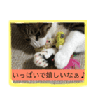 オモロカワイイ猫（個別スタンプ：6）
