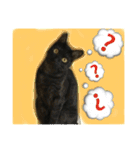オモロカワイイ猫（個別スタンプ：13）