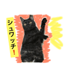 オモロカワイイ猫（個別スタンプ：18）