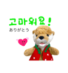 カワウソぬい撮りスタンプ(日・韓)（個別スタンプ：5）