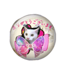 Hiruta house cats（個別スタンプ：5）