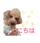 kiyopy family（個別スタンプ：2）