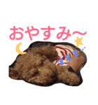 kiyopy family（個別スタンプ：4）