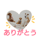 kiyopy family（個別スタンプ：7）