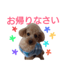 kiyopy family（個別スタンプ：11）