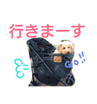 kiyopy family（個別スタンプ：12）