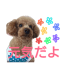kiyopy family（個別スタンプ：14）