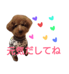 kiyopy family（個別スタンプ：15）