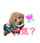 kiyopy family（個別スタンプ：16）