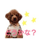 kiyopy family（個別スタンプ：17）