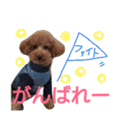 kiyopy family（個別スタンプ：20）