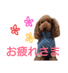 kiyopy family（個別スタンプ：23）
