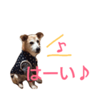 kiyopy family（個別スタンプ：27）