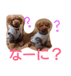 kiyopy family（個別スタンプ：29）