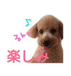 kiyopy family（個別スタンプ：30）