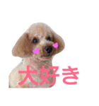 kiyopy family（個別スタンプ：32）
