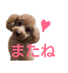 kiyopy family（個別スタンプ：38）