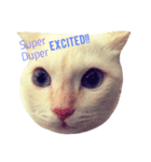 Let Me(ow) Speak 4 U（個別スタンプ：6）