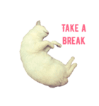 Let Me(ow) Speak 4 U（個別スタンプ：7）
