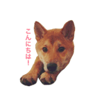 あんこスタンプ（個別スタンプ：10）